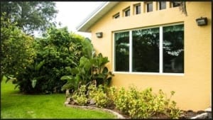 impact resistant windows in Clearwater, FL